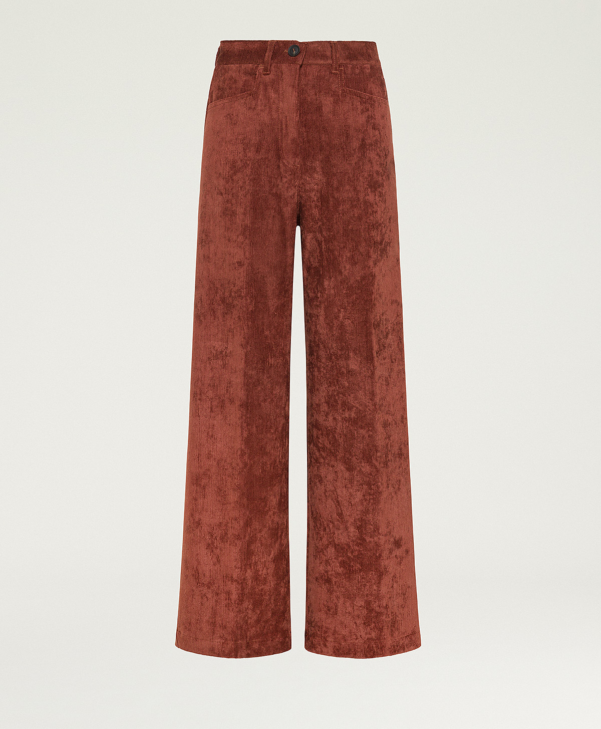 PANTALON PETER EN VELOURS  À CÔTES STRETCH - TERRE CUITE - Momonì